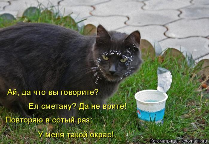 4743317_kotomatritsa_B (700x481, 64Kb)