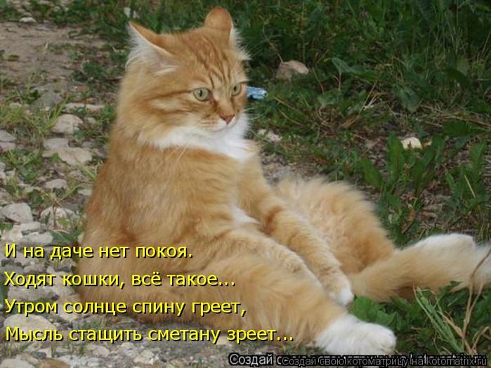 4743317_kotomatritsa_c_1 (700x524, 67Kb)