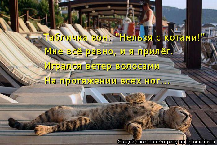 4743317_kotomatritsa_c (700x469, 77Kb)