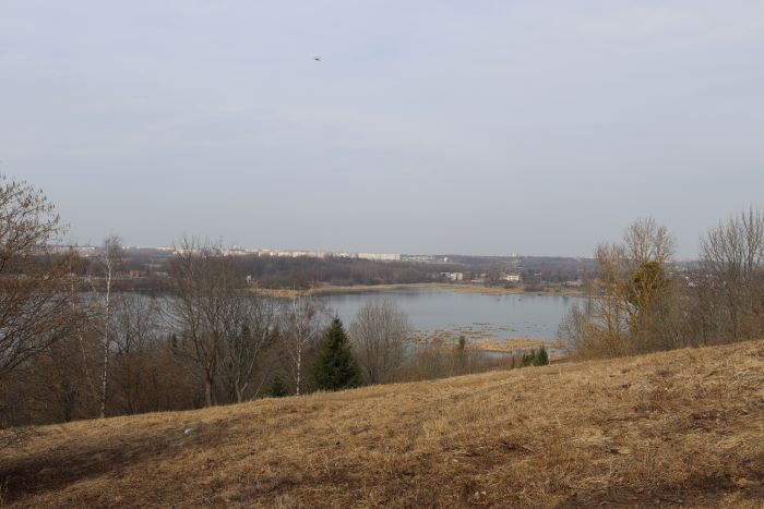 IMG_9942 (700x467, 147Kb)