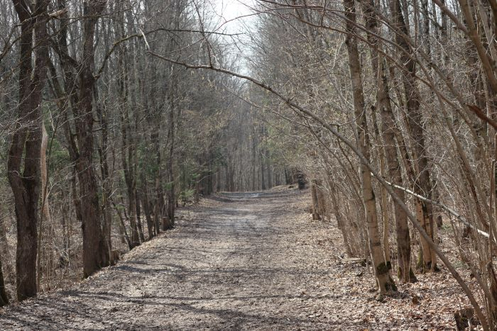 IMG_0116 (700x467, 276Kb)