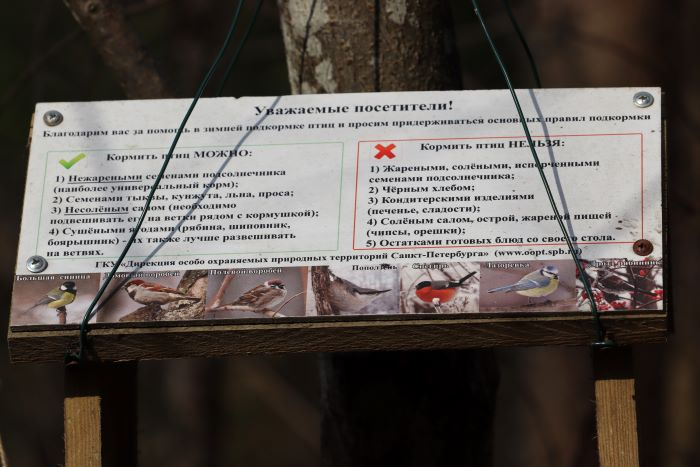 IMG_0131 (700x467, 175Kb)