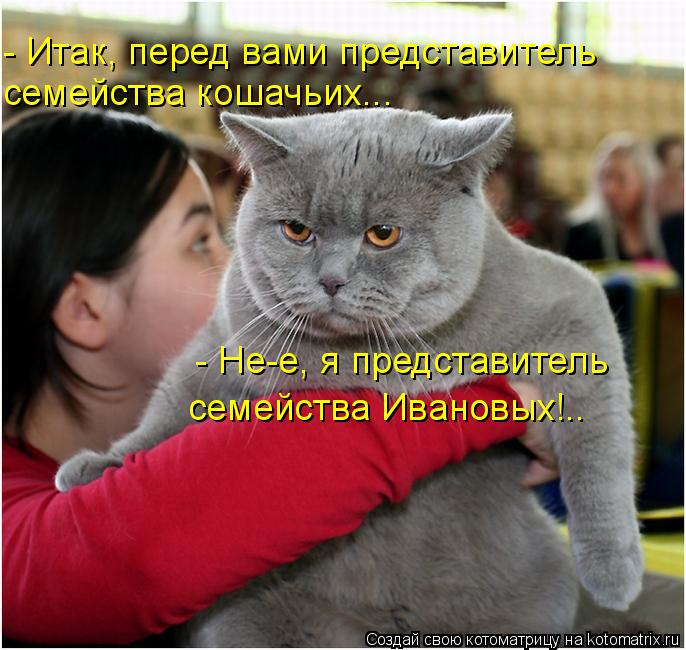 4743317_kotomatritsa_Y (686x650, 72Kb)