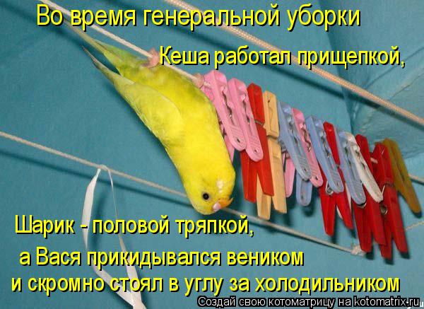 4743317_kotomatritsa_J_1 (600x437, 61Kb)