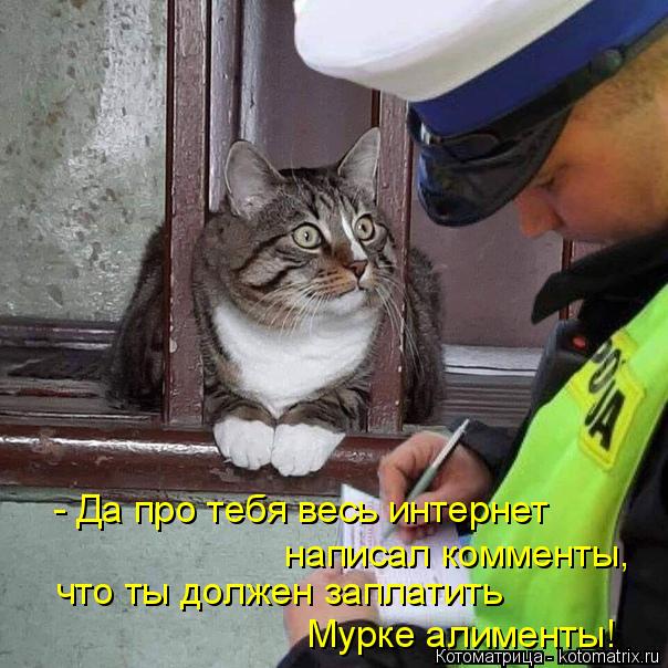 4743317_kotomatritsa_5 (604x604, 70Kb)