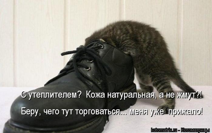 4743317_kotomatritsa_o (700x439, 38Kb)