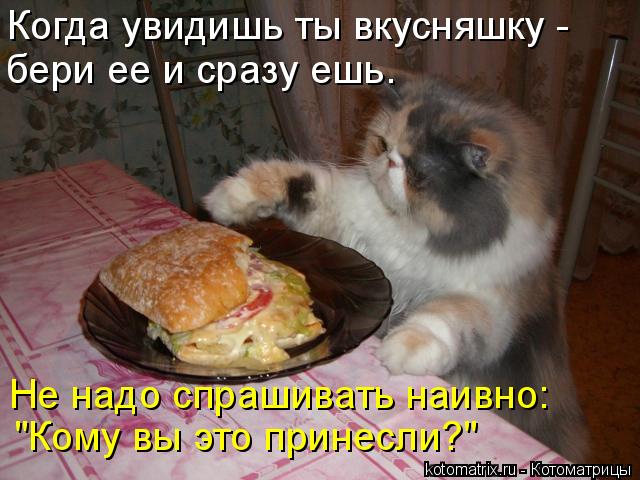 4743317_kotomatritsa_z (640x480, 58Kb)