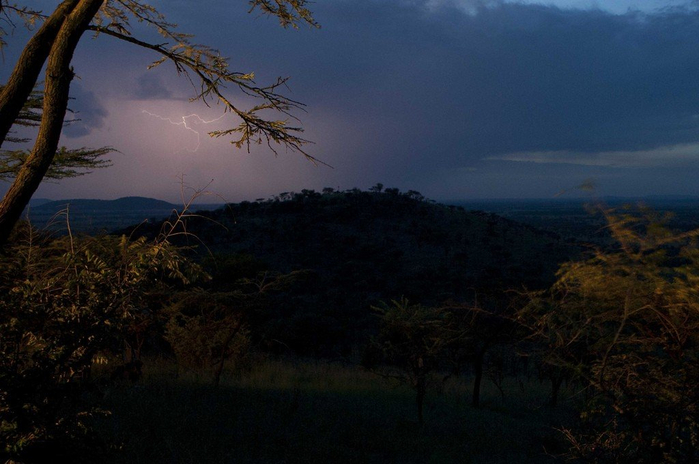 natsionalnyy-park-serengeti_133 (700x464, 303Kb)