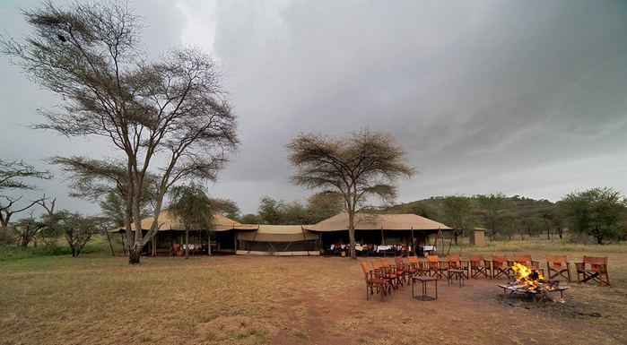 natsionalnyy-park-serengeti_136 (700x385, 280Kb)