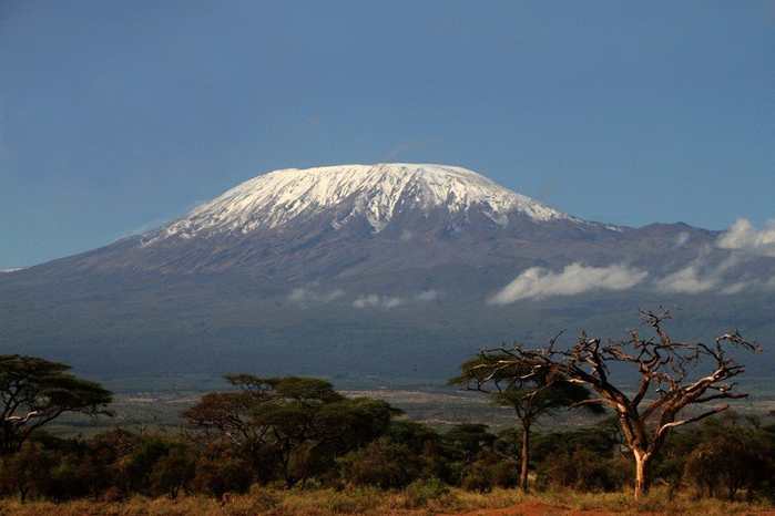 natsionalnyy-park-serengeti_140 (700x466, 288Kb)