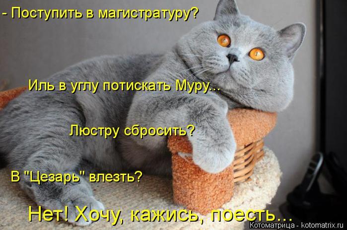 4743317_kotomatritsa_4 (700x464, 58Kb)