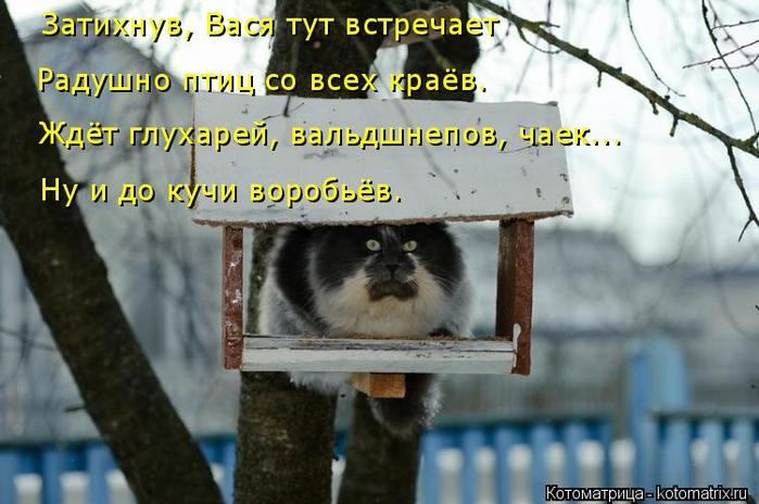 4743317_kotomatritsa_F (700x464, 53Kb)