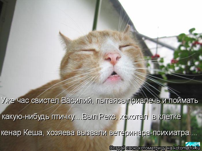 4743317_kotomatritsa_gu (700x525, 58Kb)