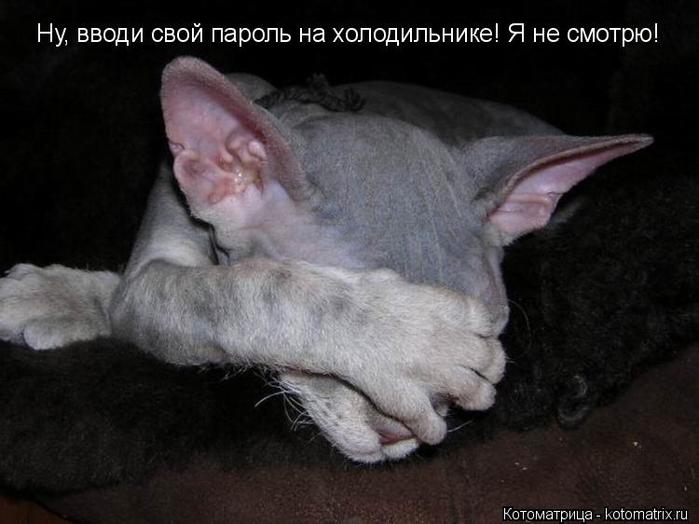4743317_kotomatritsa_R (700x524, 44Kb)