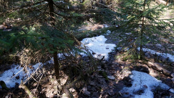 DSC02754 (700x393, 479Kb)