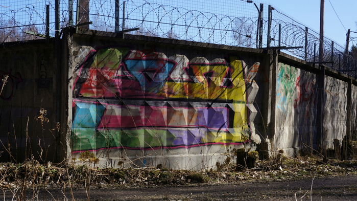 DSC02761 (700x393, 419Kb)
