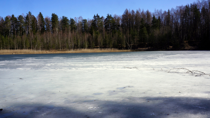DSC02771 (700x394, 345Kb)