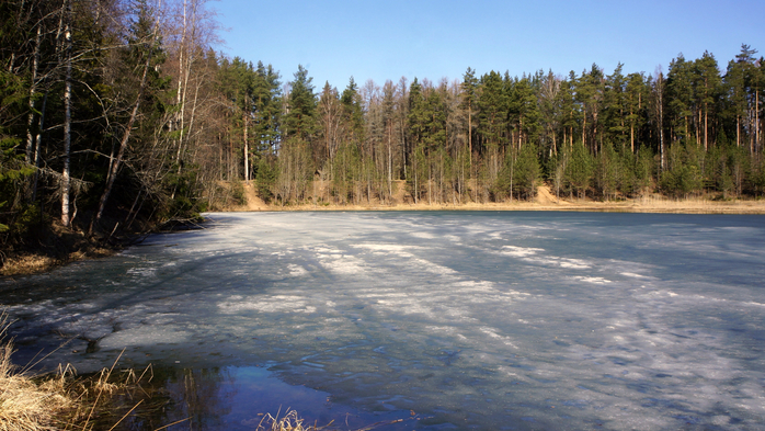 DSC02775 (700x393, 413Kb)
