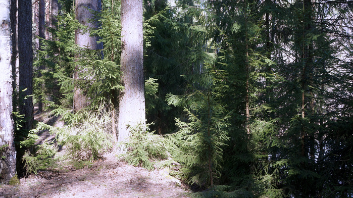 DSC02777 (700x392, 474Kb)