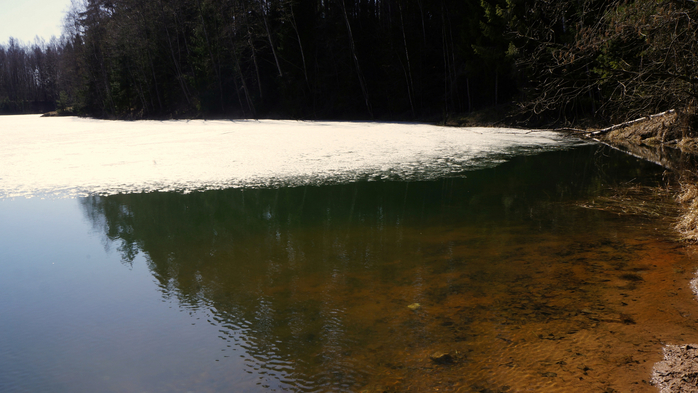 DSC02780 (700x393, 328Kb)