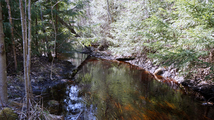 DSC02786 (700x393, 491Kb)