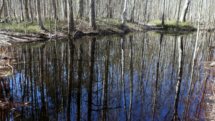 DSC02790 (700x393, 506Kb)