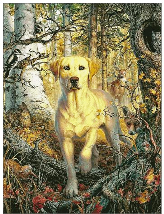 лабрадор (535x700, 494Kb)