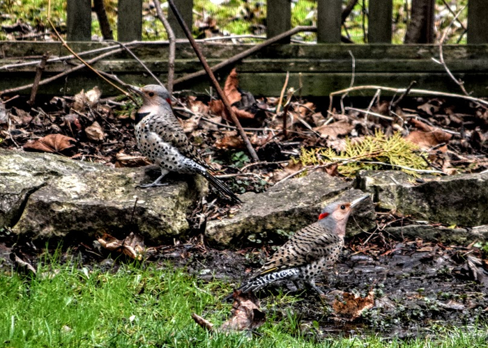 m3a (700x500, 518Kb)