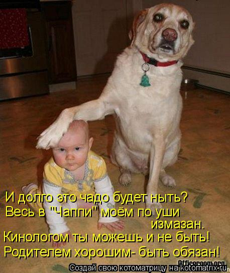 kotomatritsa_3z (458x543, 215Kb)