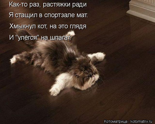 4743317_kotomatritsa_a_1 (640x512, 44Kb)