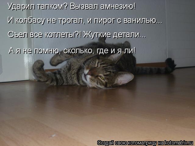 4743317_kotomatritsa_G (640x480, 39Kb)
