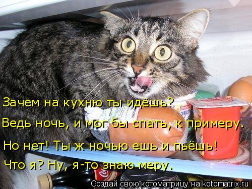 4743317_kotomatritsa_sr (500x375, 57Kb)