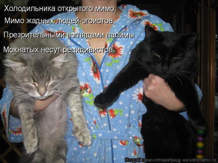 4743317_kotomatritsa_V9 (700x524, 62Kb)