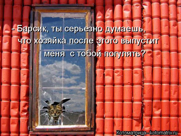 4743317_kotomatritsa_9B (590x442, 64Kb)