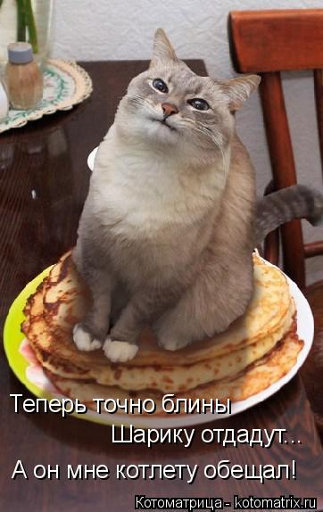 4743317_kotomatritsa_I (362x574, 36Kb)