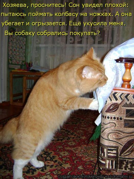 4743317_kotomatritsa_r (524x700, 75Kb)