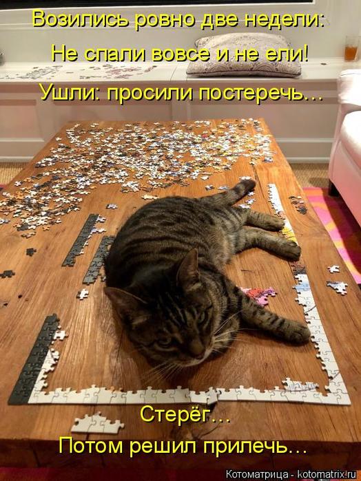 4743317_kotomatritsa_72 (524x700, 84Kb)