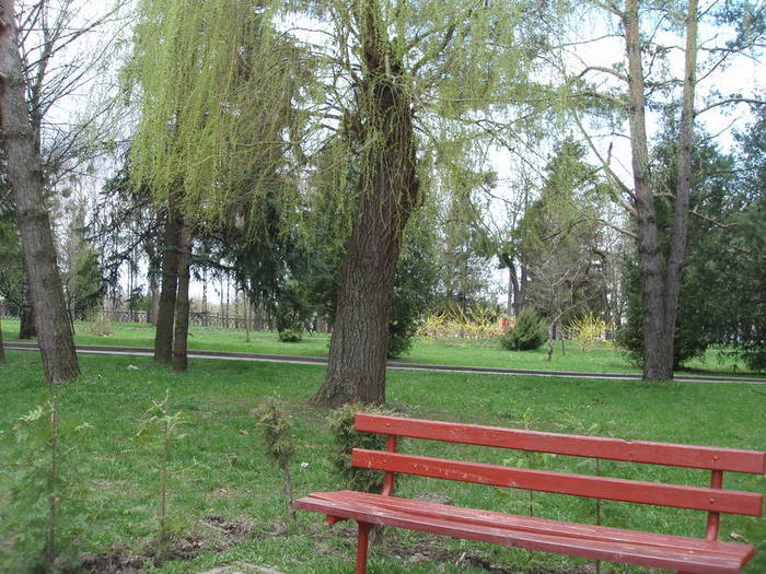 P1010010 (700x525, 99Kb)