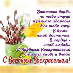 0f48b952b7c7037edc45d866450af912 (236x236, 16Kb)