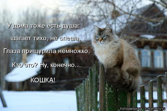 4743317_kotomatritsa_j (700x466, 49Kb)