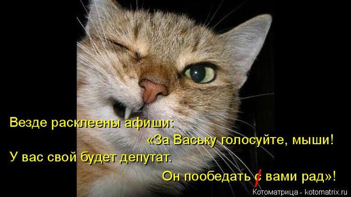 4743317_kotomatritsa_z (700x392, 43Kb)