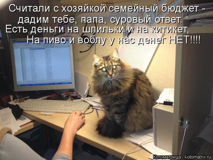 4743317_kotomatritsa_S_1 (700x524, 63Kb)