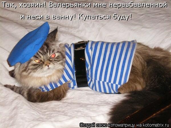 4743317_kotomatritsa_R (600x450, 52Kb)