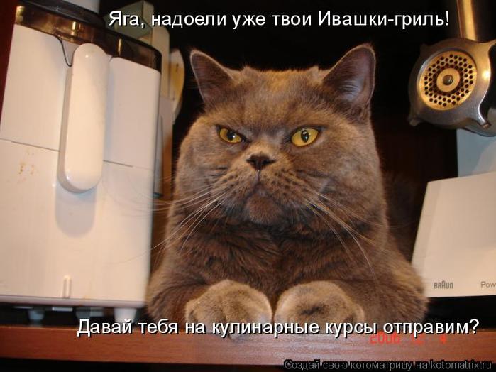 4743317_kotomatritsa_m (700x524, 51Kb)