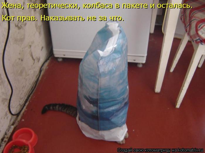 4743317_kotomatritsa_d (700x524, 41Kb)