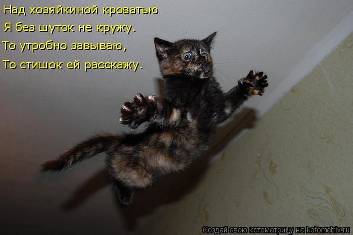 4743317_kotomatritsa_5 (700x466, 35Kb)