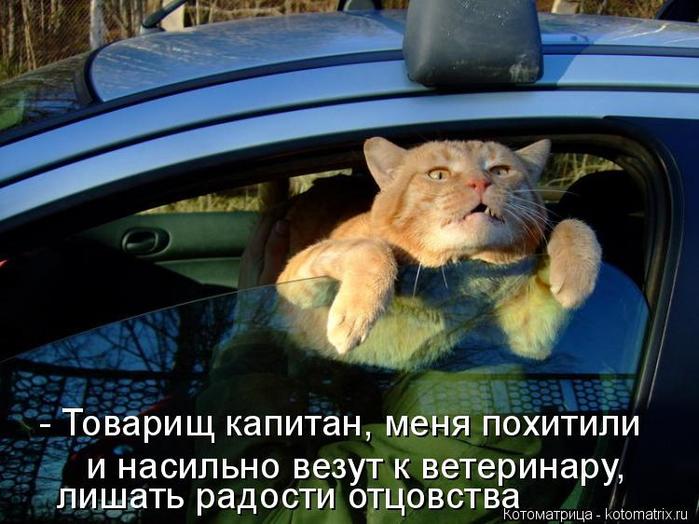 4743317_kotomatritsa__ (700x524, 61Kb)