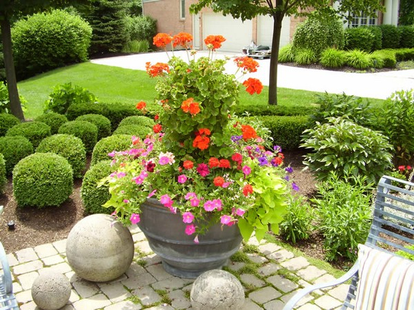 Flowers-8-The-ART-In-LIFE (600x450, 355Kb)