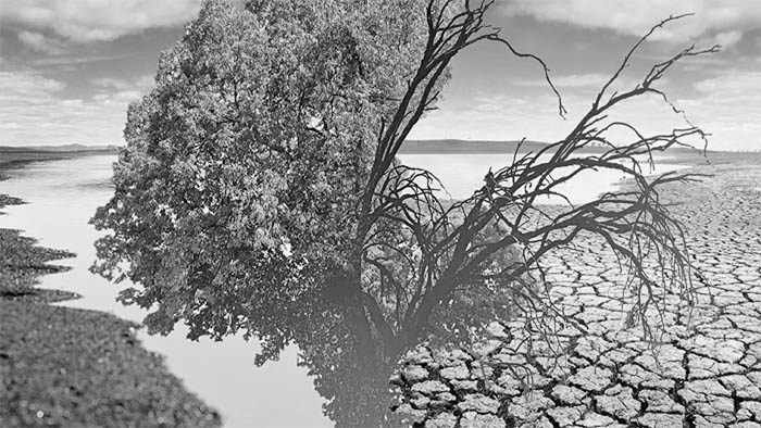 LI_28_04 (700x394, 105Kb)
