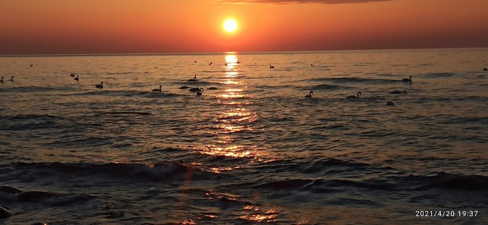 photo5474273884674044740 (700x323, 54Kb)